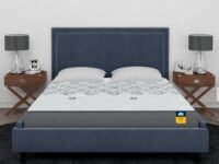 Centuary Mattresses Sleepables 6-Inch King Size Ortho Pocketed Zero Partner Disturbance Plush Quilted Rolled Packed Pocket Spring Mattress (78x72x6)