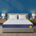 Centuary Mattresses Sleepables Orthopedic Memory Foam 5 Inch Back Support Mattress (72x30x5)