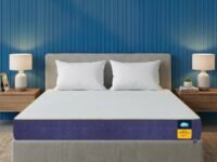 Centuary Mattresses Sleepables Orthopedic Memory Foam 5 Inch Back Support Mattress (72x30x5)