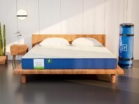 Flo Ortho™ Aloe Vera Infused Orthopedic Mattress with Pain Release™Technology | Medium Firm Feel | 4 Inch Mattress in King Size (72x70x4 Inches) | 10 Year Warranty