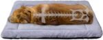 KOZI PET Summer Super Soft Dog & Cat Crate Fabric Bed -Fluffy Pet Bed All Season-Machine Wash & Dryer Friendly-Anti-Skid Pet Beds (Medium)