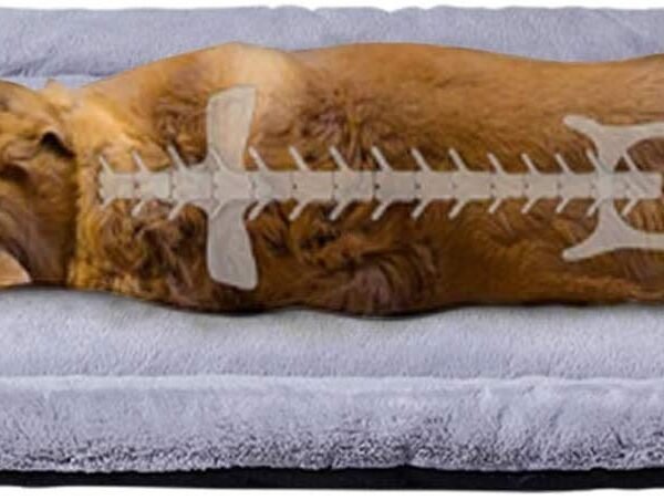 KOZI PET Summer Super Soft Dog & Cat Crate Fabric Bed -Fluffy Pet Bed All Season-Machine Wash & Dryer Friendly-Anti-Skid Pet Beds (Medium)