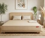 Kurlon Dual Mattress | Queen Size 72x60x4 Inches | Medium Soft & Firm Dual Side Comfort | Strong High Resilience Core Support | Soft PU Foam Comfort Layer | 10 Years Warranty