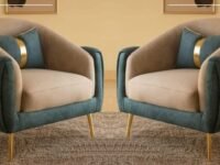 T&T Co. Luxury Prestigious Versatile Italy with SS Legs Lounge Chair Royal Armchair Stylish Single Seater Sofa Set Accent Chair Living Room Lounge Bedroom (Set of 2 Chairs, Green with Brown)