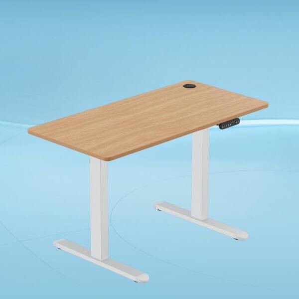 The Sleep Company - AeroPlus Electric Height Adjustable Desk | Ergonomic Work from Home Table | 4 Memory Presets | 2 Years Warranty | 1200 x 600 Thick Top | Free Installation | Oak & White