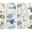 Trance Home Linen Super Ultra Soft 100% Cotton New Born Baby Swaddle Wrap | New Born Babies Soft Pure Cotton Sheets | Baby Wrap Set (100x100 cm, Baby Pug, Pack of 4)