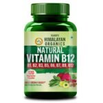 Vlado's Himalayan Organics Plant Based Vitamin B12 Supplement | B1,B2,B3,B5,B6,B7,B9,Moringa| Boost Energy Level | For Memory, Brain, Heart & Nervous System Support | B12 supplement for Men & Women - 120 Veg Capsules
