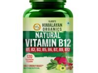 Vlado's Himalayan Organics Plant Based Vitamin B12 Supplement | B1,B2,B3,B5,B6,B7,B9,Moringa| Boost Energy Level | For Memory, Brain, Heart & Nervous System Support | B12 supplement for Men & Women - 120 Veg Capsules