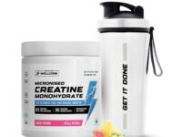 Wellcore Pure Micronised Creatine Powder With Shaker (83 Servings, Fruit Fusion) For Enhanced Muscle Strength With Rapid Absorption | Creatine Monohydrate | Wellcore Creatine Flavoured - 307g