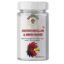 Bakefat India Chicken-Bouillon & Broth Powder,250 Grams