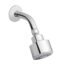 Hindware F920011CP ABS Shower Head with Arm for Bathroom, Chrome Finish
