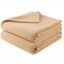 Home Stylish Home Soft Warm Fleece Blanket Throw Microfiber Plush Blanket for Bed, (90x90 Inches Gold)