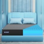 The Sleep Company SmartGRID Orthopedic Pro - Doctor Recommended Mattress | Japanese Patented Technology | 7 Zone Support for Back Pain Relief | 10 Year Warranty | Queen Size Firm Bed Mattress 72x60x8