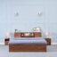 Wakefit Bed | 1 Yr Warranty | Bed Queen Size, Comes with Storage Box, Noise Free, Density: 680–750 kg/m³, Termite & Borer Resistant, Fits Mattresses Up to 8 Inches (Orion 78 x 60 - Columbian Walnut)