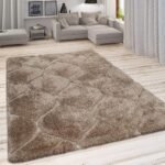 Carpets Soft Fluffy Shag Beige Modern Area Rugs for Living Room, Shaggy Floor Carpet for Bedroom, Girls Carpets Kids Home Decor Rugs, Cute Luxury Non-Slip [Size 3x5 feet].