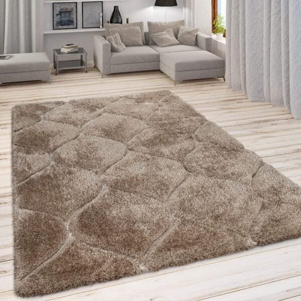 Carpets Soft Fluffy Shag Beige Modern Area Rugs for Living Room, Shaggy Floor Carpet for Bedroom, Girls Carpets Kids Home Decor Rugs, Cute Luxury Non-Slip [Size 3x5 feet].