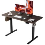 ERGOMAKER Electric Standing Desk 120x60cm (Black Frame+BlackWalnut Desktop)
