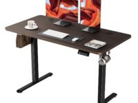 ERGOMAKER Electric Standing Desk 120x60cm (Black Frame+BlackWalnut Desktop)