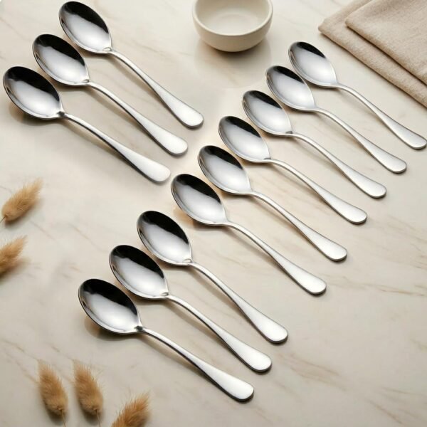 Parage 12 Pieces Stainless Steel Table Spoons Set with Round Edge, 18.5 cm, Big Spoon Set of 12, Tableware, Silver
